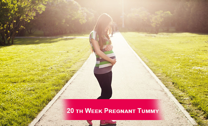 20th Week Pregnant Tummy