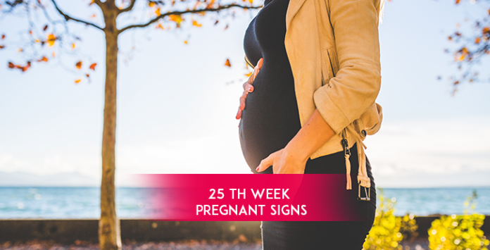 Pregnancy Week By Week - (Week 25)