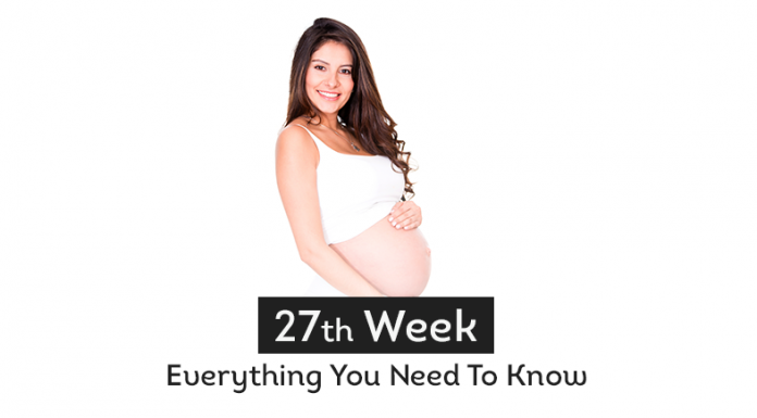 27th Week Everthing You Need To Know 1