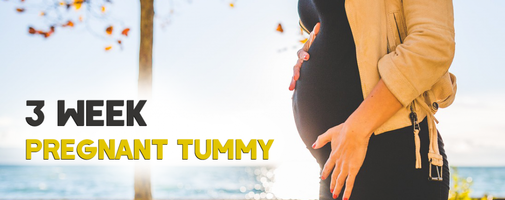 3 Week Pregnant Tummy