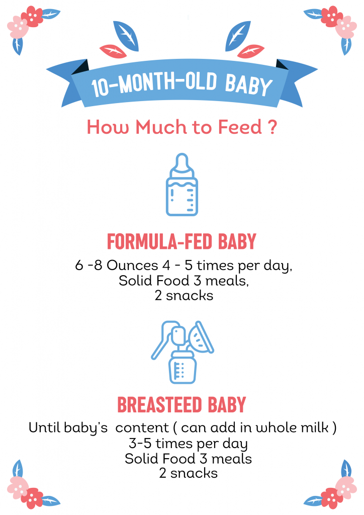 10 Month Old Feeding Schedule