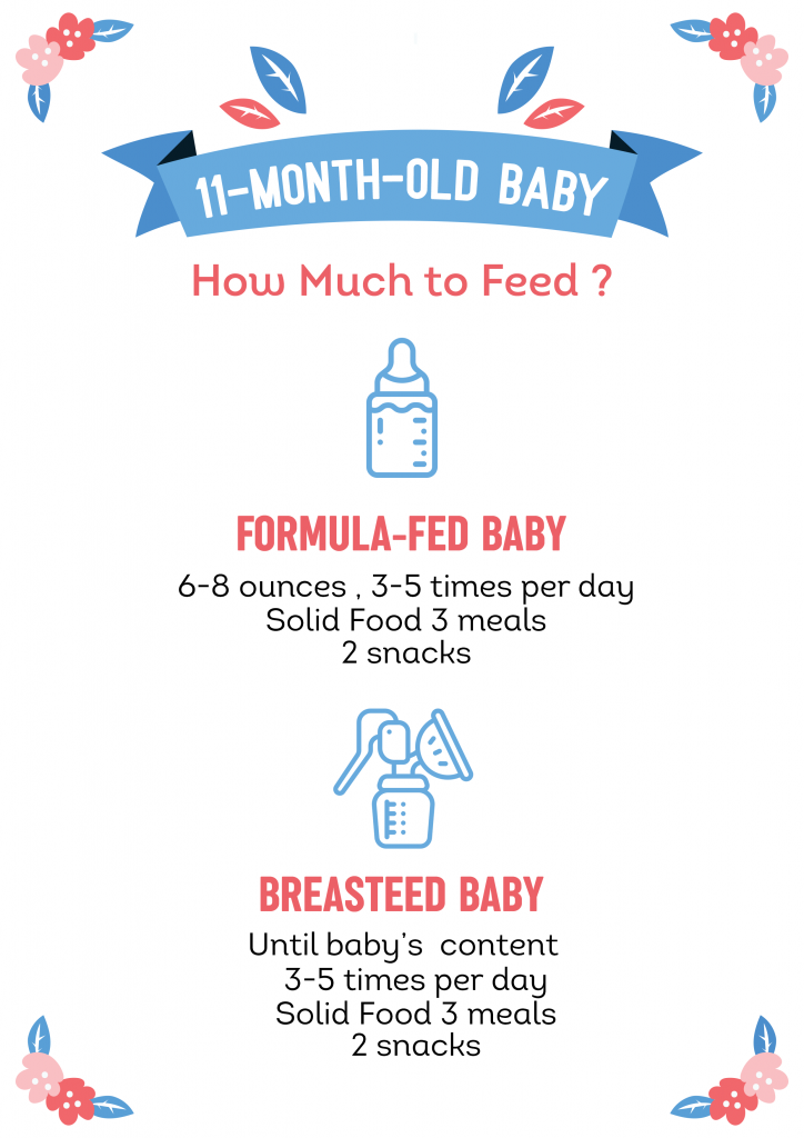 11 Month Old Feeding Schedule