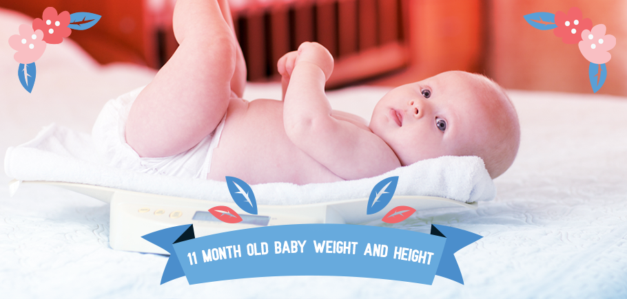 11_Month_Old_Baby_Weight_And_Height