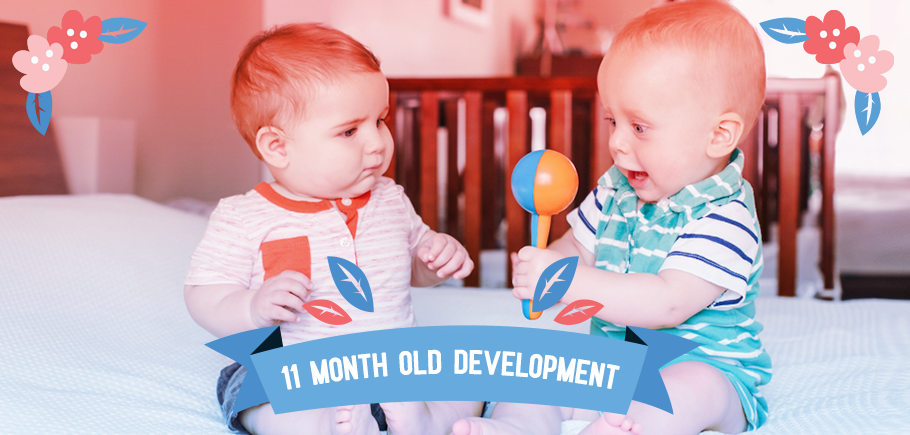 11_Month_Old_Development