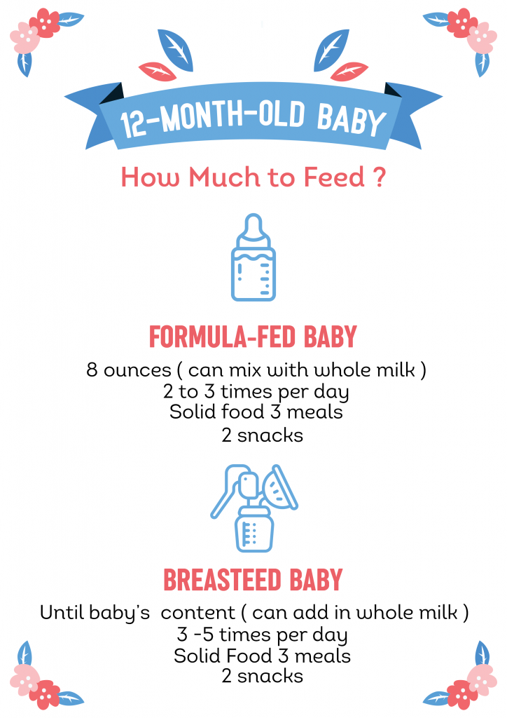 1-Year-Old Feeding Schedule