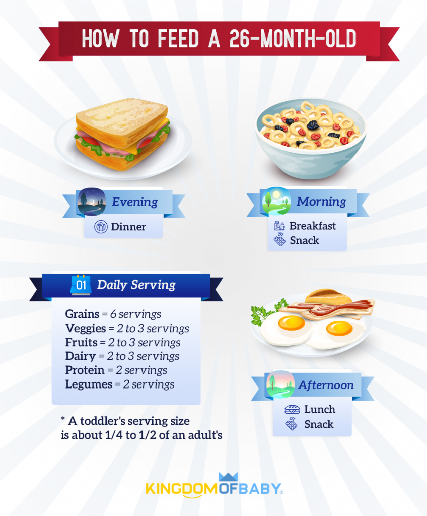  26-Month-Old Feeding Schedule