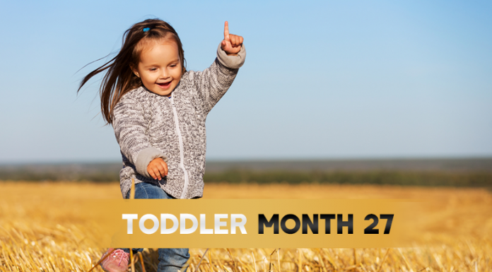 Toddler Month By Month - (Month 27)