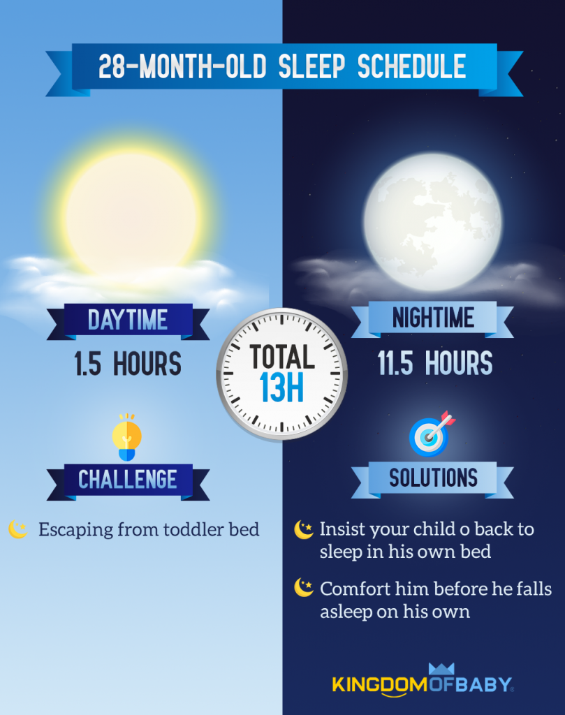 28-Month-Old Sleep Schedule