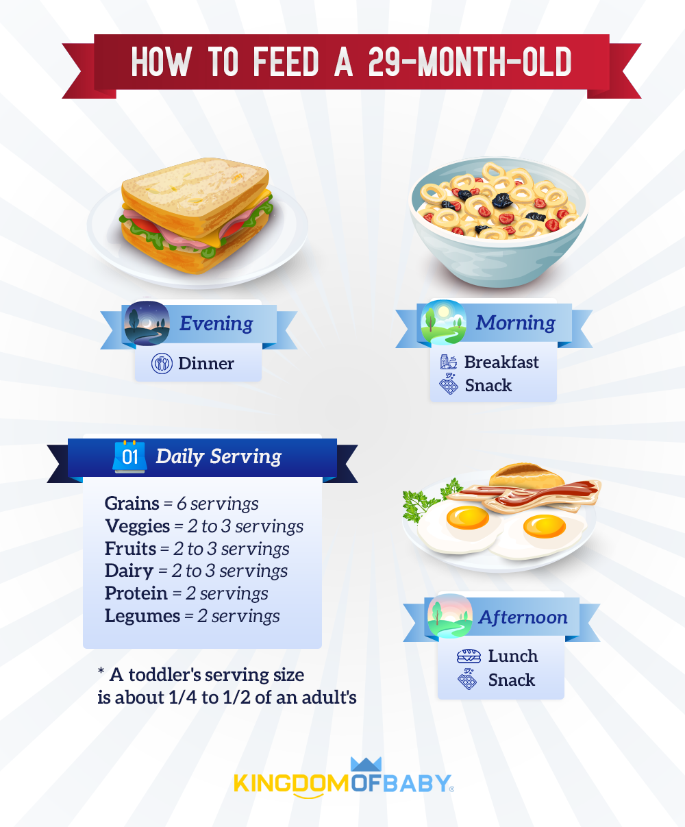 29-Month-Old Feeding Schedule