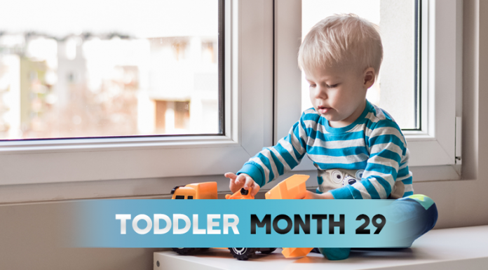 Toddler - Month 29