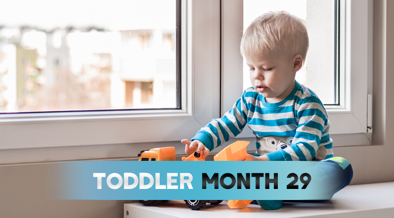 Toddler - Month 29