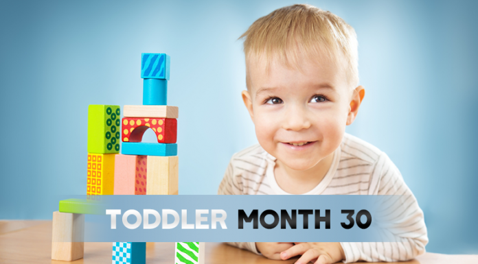 Toddler - Month 30