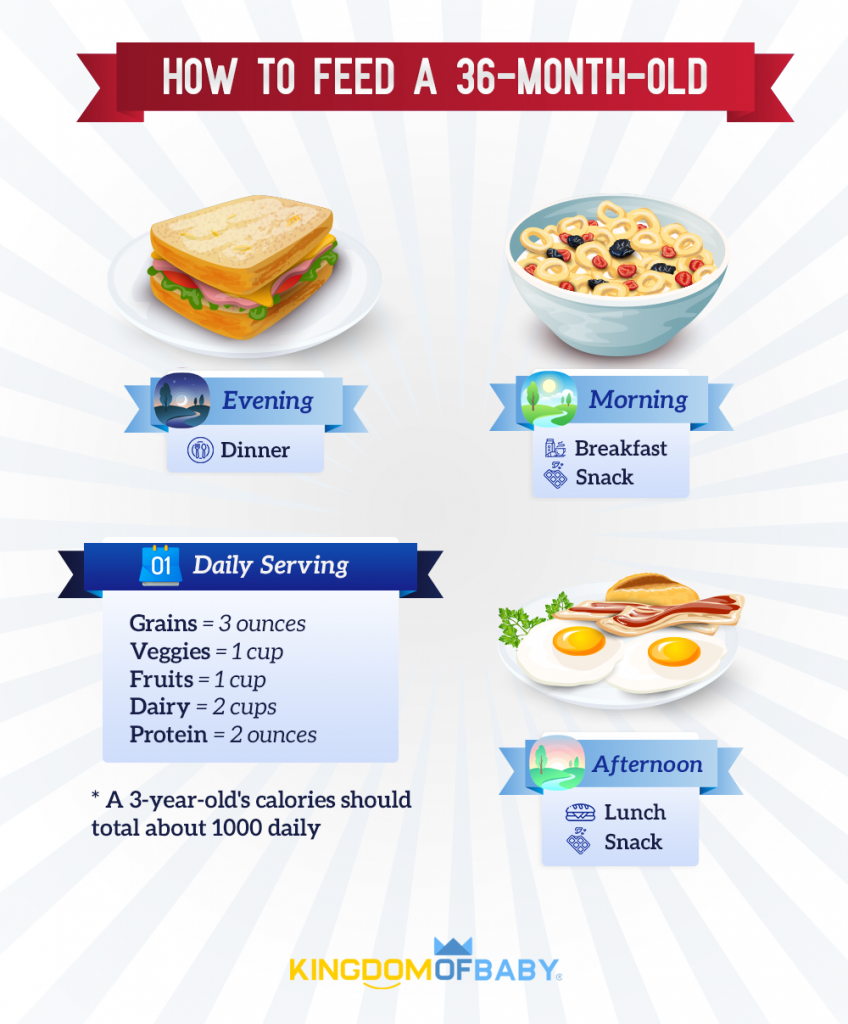 36-Month-Old Feeding Schedule