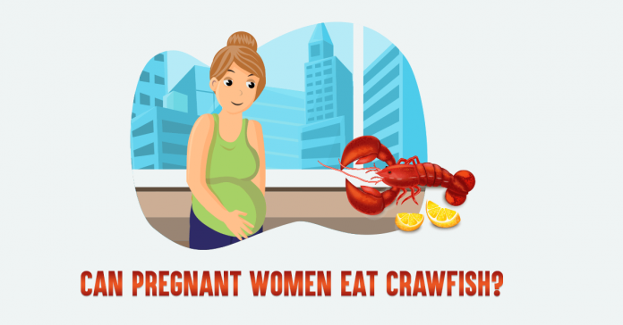 Can_Pregnant_Women_Eat_Crawfish_cover