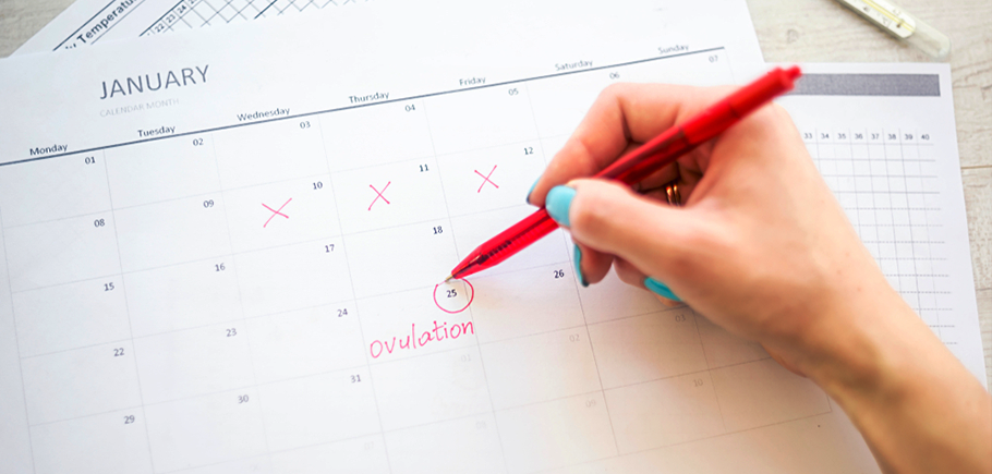 How To Track Ovulation