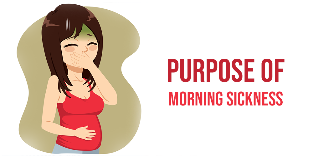 Purpose of Morning Sickness