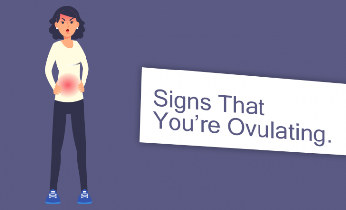 Ovulation Facts Revealed: Everything You Need To Know