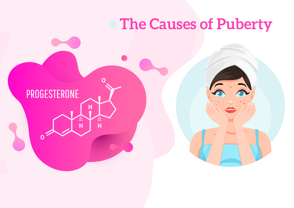 The Causes of Puberty