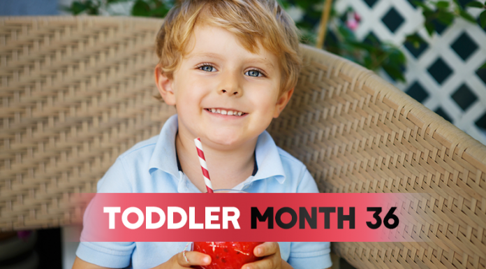 Toddler - Month 36