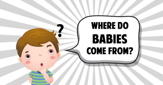 Where Do Babies Come From