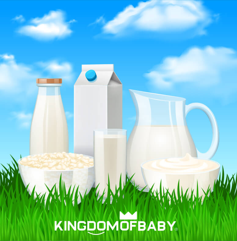 dairy products