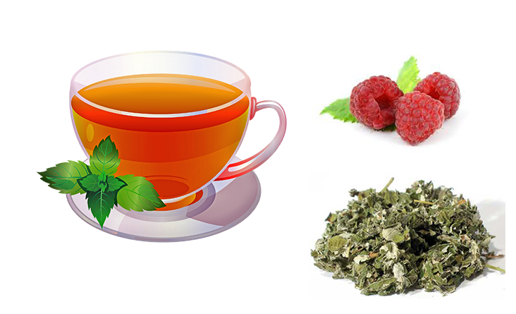 The Benefits of Drinking Raspberry Leaf Tea During Pregnancy